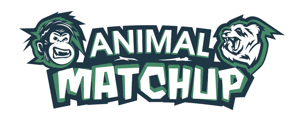 Create Your Own | Animal Matchup