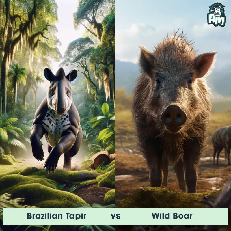 Brazilian Tapir vs Wild Boar - Animal Matchup