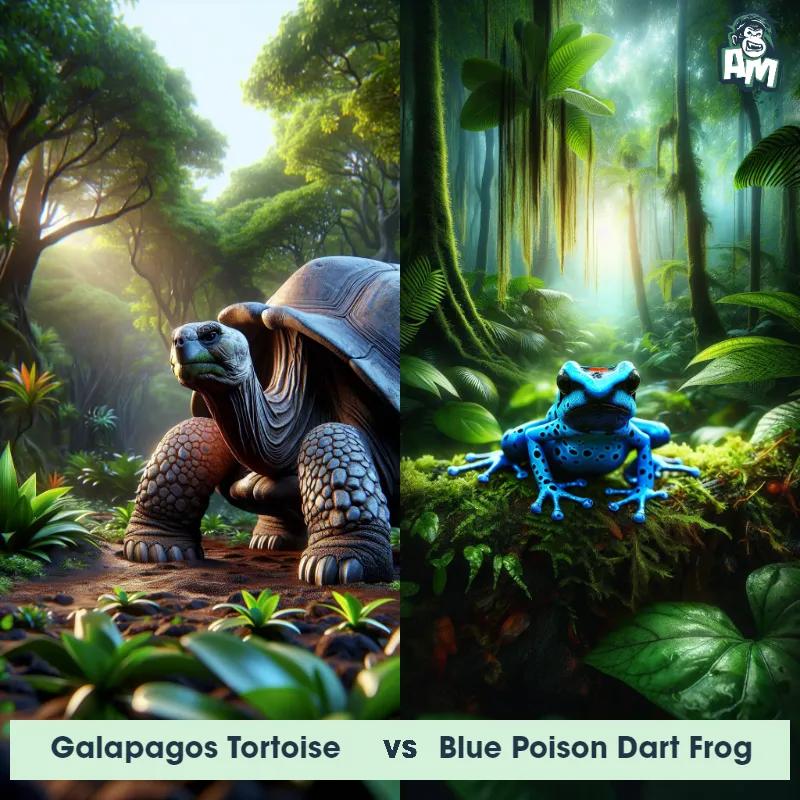 Galapagos Tortoise vs Blue Poison Dart Frog - Animal Matchup