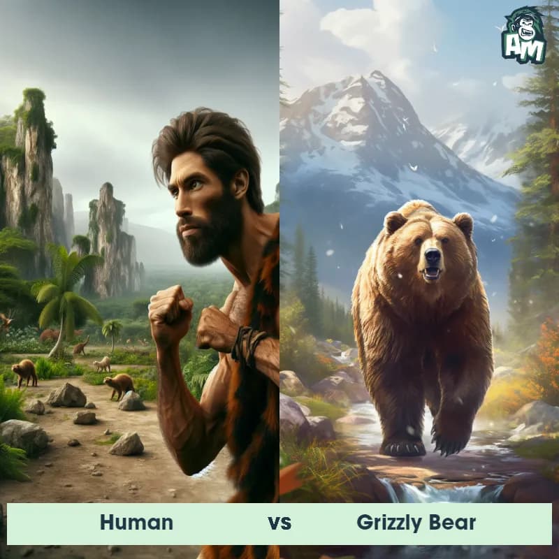 Human vs Grizzly Bear - Animal Matchup