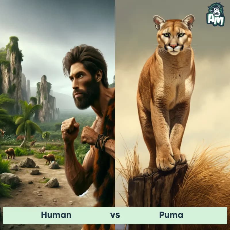 Human vs Puma - Animal Matchup