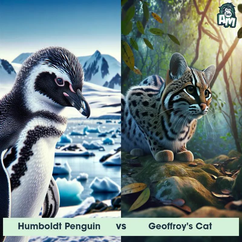 Humboldt Penguin vs Geoffroy's Cat - Animal Matchup