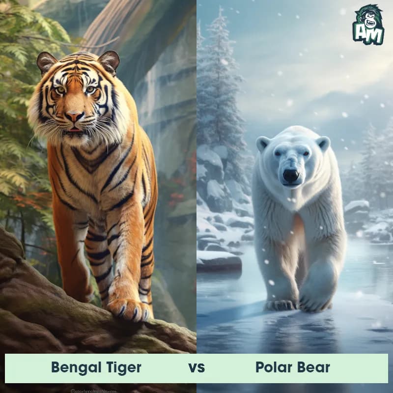 Bengal Tiger vs Polar Bear - Animal Matchup Bengal Tiger vs Polar Bear - Animal Matchup
