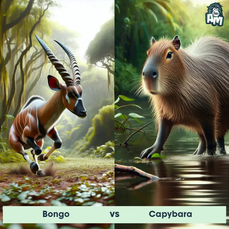 Bongo vs Capybara - Animal Matchup Bongo vs Capybara - Animal Matchup