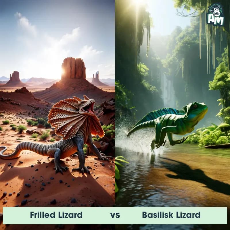 Frilled Lizard vs Basilisk Lizard - Animal Matchup Frilled Lizard vs Basilisk Lizard - Animal Matchup