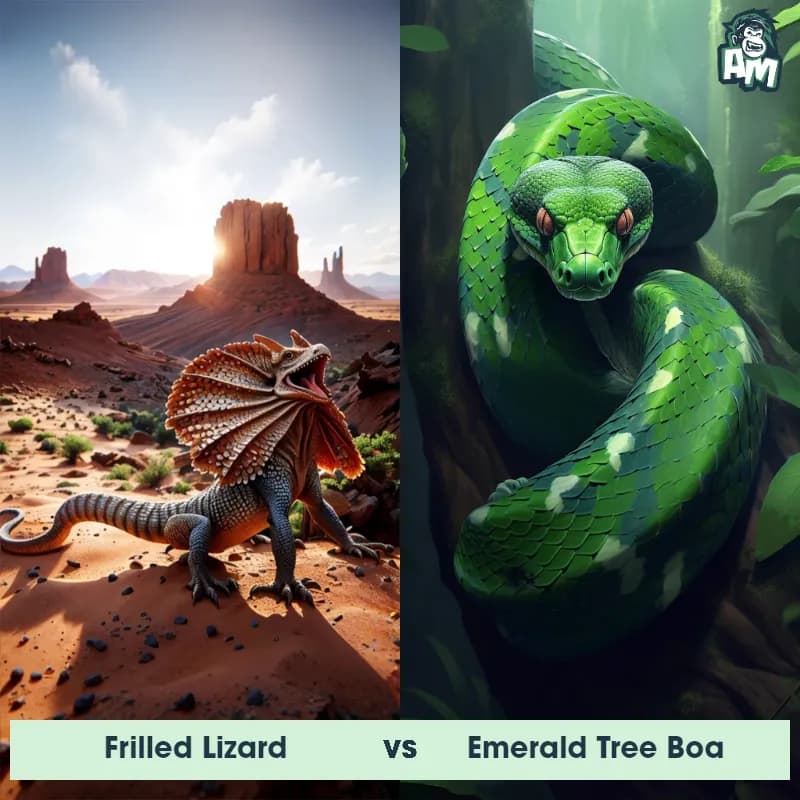 Frilled Lizard vs Emerald Tree Boa - Animal Matchup Frilled Lizard vs Emerald Tree Boa - Animal Matchup