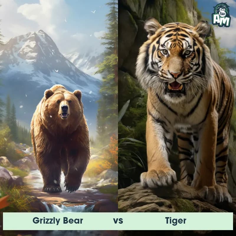 Grizzly Bear vs Tiger - Animal Matchup Grizzly Bear vs Tiger - Animal Matchup