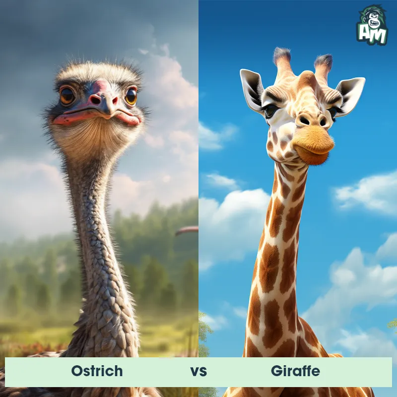 Ostrich vs Giraffe - Animal Matchup Ostrich vs Giraffe - Animal Matchup
