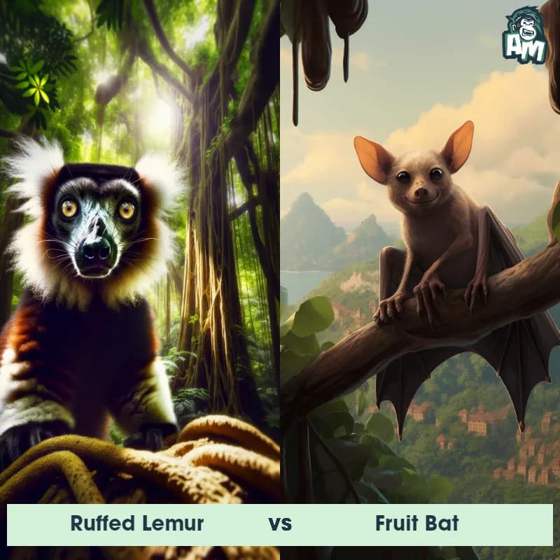 Ruffed Lemur vs Fruit Bat - Animal Matchup Ruffed Lemur vs Fruit Bat - Animal Matchup