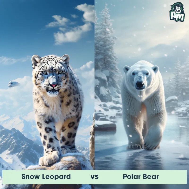Snow Leopard vs Polar Bear - Animal Matchup Snow Leopard vs Polar Bear - Animal Matchup